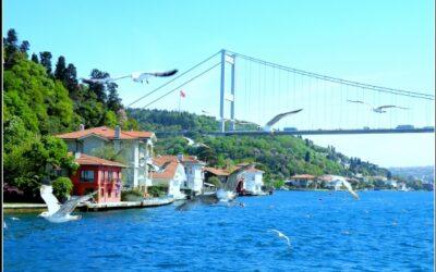 Boshprous-Birds Boshprous-Birds